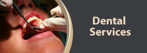 Dental Check Up - Dental Care